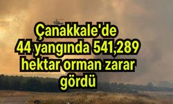 Çanakkale'de 44 yangında 541,289 hektar orman zarar gördü