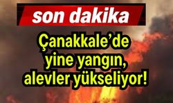 Çanakkale’de yine yangın, alevler yükseliyor!