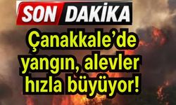 Çanakkale’de yangın, alevler hızla büyüyor!