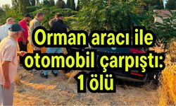 Orman aracı ile otomobil çarpıştı: 1 ölü