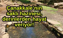 Çanakkale’nin saklı hazinesi, derinlerden hayat veriyor!