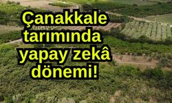 Çanakkale tarımında yapay zekâ dönemi!