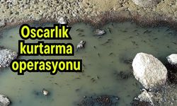 Oscarlık kurtarma operasyonu (Video)