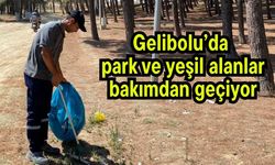 Gelibolu’da park ve yeşil alanlar bakımdan geçiyor