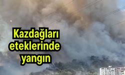 Kazdağları eteklerinde yangın (Video)