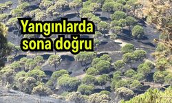 Yangınlarda sona doğru (Video)