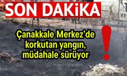 Çanakkale Merkez’de korkutan yangın, müdahale sürüyor