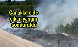 Çanakkale'de çıkan yangın söndürüldü (Video)