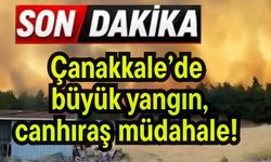 Çanakkale’de büyük yangın, canhıraş müdahale! (Video)