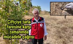 Çiftçiye tarla faresine karşı zamanında mücadele çağrısı (Video)