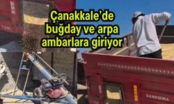 Çanakkale’de buğday ve arpa ambarlara giriyor