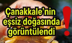 Çanakkale’nin eşsiz doğasında görüntülendi!