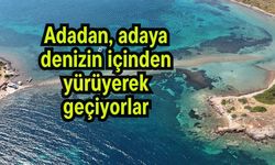 Adadan, adaya denizin içinden yürüyerek geçiyorlar (Video)