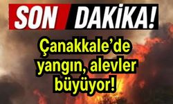 Çanakkale’de yangın, alevler büyüyor!