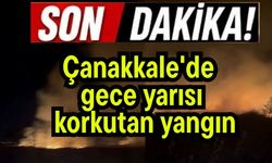 Çanakkale'de gece yarısı korkutan yangın
