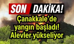 Çanakkale’de yangın başladı! Alevler yükseliyor