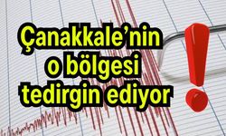 Çanakkale’nin o bölgesi tedirgin ediyor!