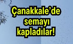 Çanakkale’de semayı kapladılar! (Video)