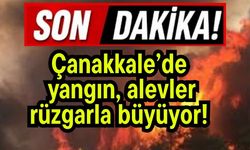 Çanakkale’de yangın, alevler rüzgarla büyüyor!