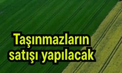 Çanakkale'de taşınmazların satışı yapılacak