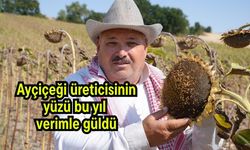 Ayçiçeği üreticisinin yüzü bu yıl verimle güldü (Video)