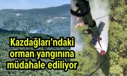 Kazdağları'ndaki orman yangınına müdahale ediliyor (Video)