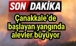Çanakkale’de başlayan yangında alevler büyüyor (Video)