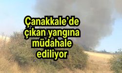 Çanakkale’de çıkan yangına müdahale ediliyor (Video)