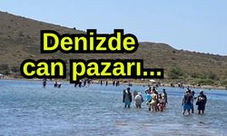 Denizde can pazarı... (Video)