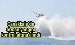 Çanakkale’de orman yangını kontrol altına alındı