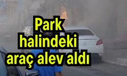 Park halindeki araç alev aldı
