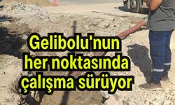 Gelibolu'nun her noktasında çalışma sürüyor