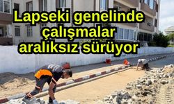 Lapseki genelinde çalışmalar aralıksız sürüyor