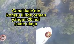 Çanakkale'nin komşu ilinde orman yangını 20'nci saate ulaştı (Video)