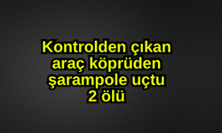 Kontrolden çıkan araç köprüden şarampole uçtu: 2 ölü