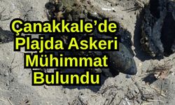 Çanakkale’de plajda askeri mühimmat bulundu