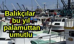Balıkçılar bu yıl palamuttan umutlu (Video)