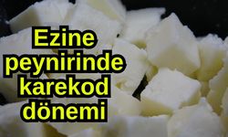 Ezine peynirinde karekod dönemi (Video)