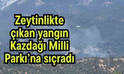 Zeytinlikte çıkan yangın Kazdağı Milli Parkı’na sıçradı