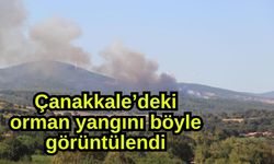Çanakkale’deki orman yangını böyle görüntülendi (Video)