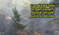 Çanakkale’deki orman yangını büyük ölçüde kontrol altında