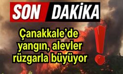Çanakkale’de yangın, alevler rüzgarla büyüyor!