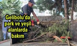 Gelibolu'da park ve yeşil alanlarda bakım