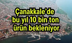Çanakkale’de bu yıl 10 bin ton  ürün bekleniyor (Video)
