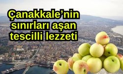 Çanakkale’nin sınırları aşan tescilli lezzeti