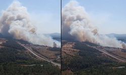 Çanakkale'deki orman yangını helikopterden görüntülendi (Video)