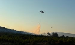 Bayramiç'teki orman yangını ile ilgili son gelişme (Video)