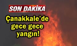 Çanakkale’de gece gece yangın !