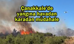 Çanakkale'de yangına havadan karadan müdahale