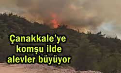 Çanakkale’ye komşu ilde alevler büyüyor (Video)